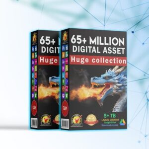 All in One 65 Million Digital Asset pack
